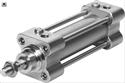 FESTO(bio)(zhn)CRDNGϵ
